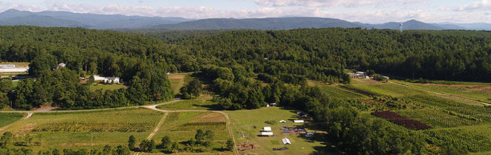 Berry Site drone aerial