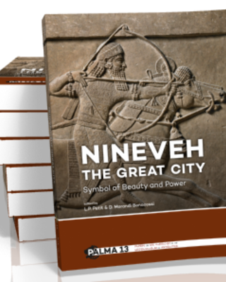 The Topography of Nineveh